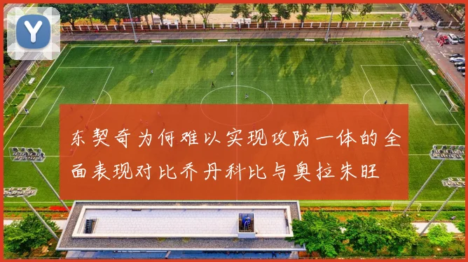 东契奇为何难以实现攻防一体的全面表现对比乔丹科比与奥拉朱旺