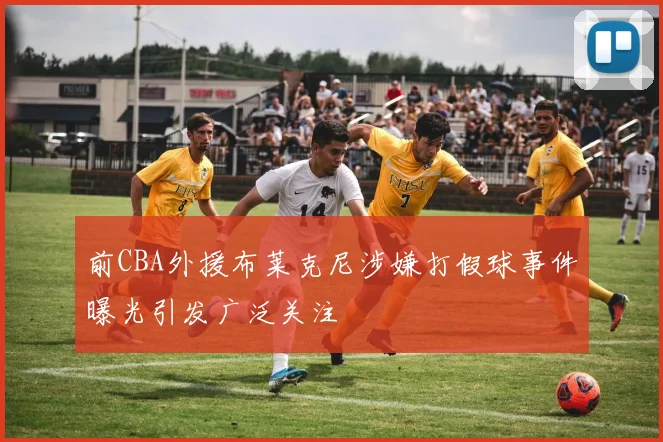 前CBA外援布莱克尼涉嫌打假球事件曝光引发广泛关注