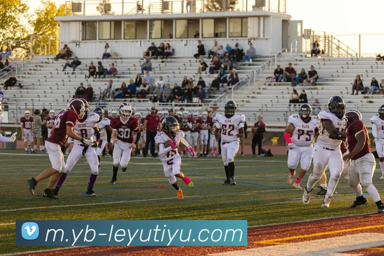 乐鱼体育平台生态图